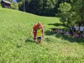 Cutting grass