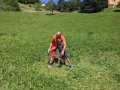Cutting grass