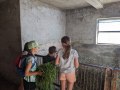 Feeding