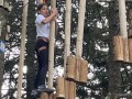 Hanging logs