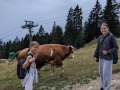 "Say cheese"