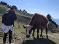 Meeting the locals