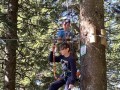 Hanging out