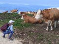 MOOOOOOve!