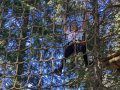 Hanging on