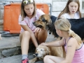 Furry friends