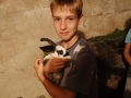 Little cuties