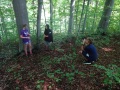 Into the woods