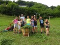 Farm workers