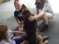 Doggie
