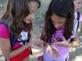 Exploring the wildlife.