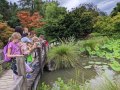 At the pond