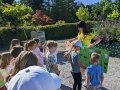 Describing forest and meadow animals