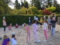 Guessing forest animals