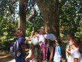 Ringing a bell