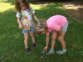 Searching for some animals