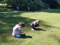 Searching for items in nature