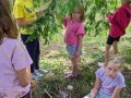 The tree can also sing