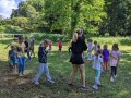 Walking in the forest song
