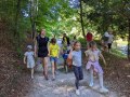 Walking to the meadow