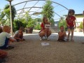 ants!