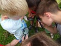 Under the magnifying glass