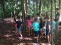 In the forest
