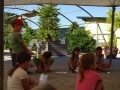friendly circle
