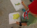 picture learning