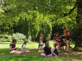 Under the tree