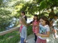 A WALK!