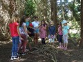 In the woods!