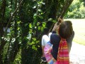 Trees!