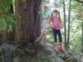 Young models