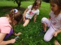 exploring nature