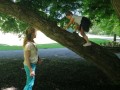 Climbing on the trees