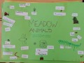 Meadow animals poster