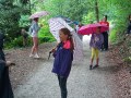 Hiding from the rain