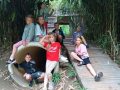 Bamboo cottage