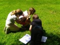 What is there in the meadow?