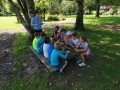 Learning about forest animals