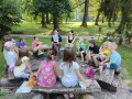 learning about meadow animals