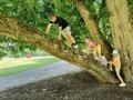 climbing on the tree