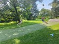 at the playground