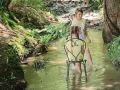 In the stream