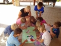 Butterflie's life circle