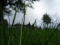 Day 5 - Perspective photo project