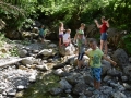 Stream