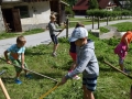 Grabljenje trave
