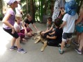 doggie!!